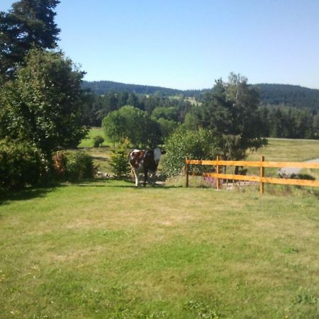 Ressourcez Vous En Pleine Nature! Saint-Regis-du-Coin Buitenkant foto